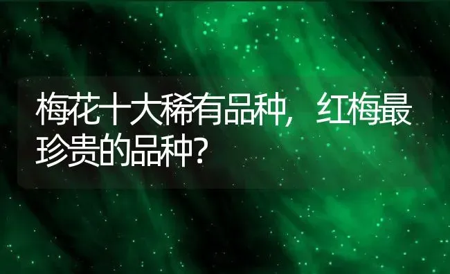 梅花十大稀有品种,红梅最珍贵的品种？ | 养殖科普