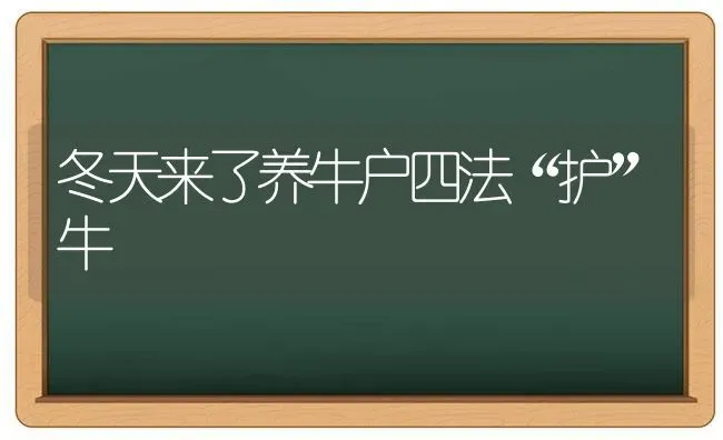 冬天来了养牛户四法“护”牛 | 养殖技术大全