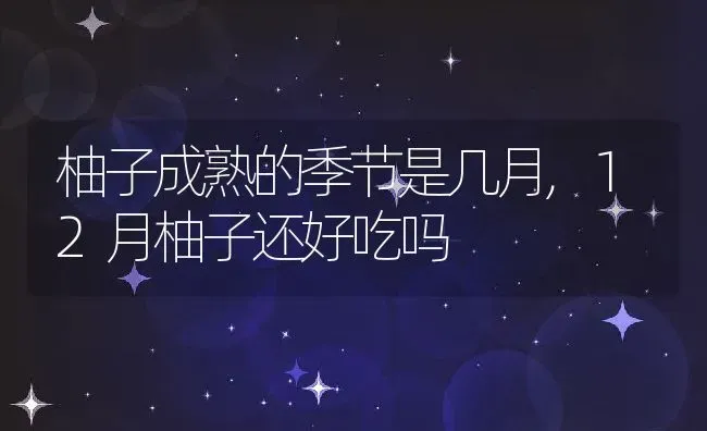 柚子成熟的季节是几月,12月柚子还好吃吗 | 养殖科普