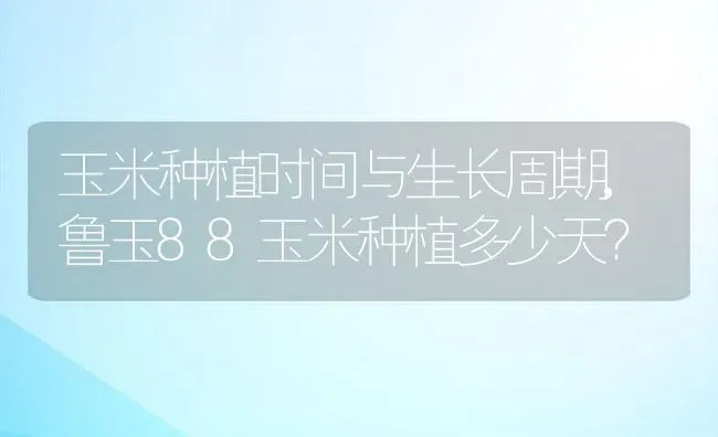 玉米种植时间与生长周期,鲁玉88玉米种植多少天？ | 养殖科普