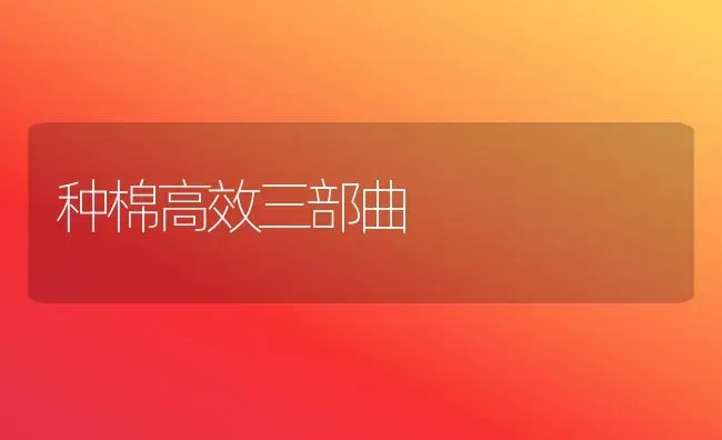 种棉高效三部曲 | 养殖技术大全