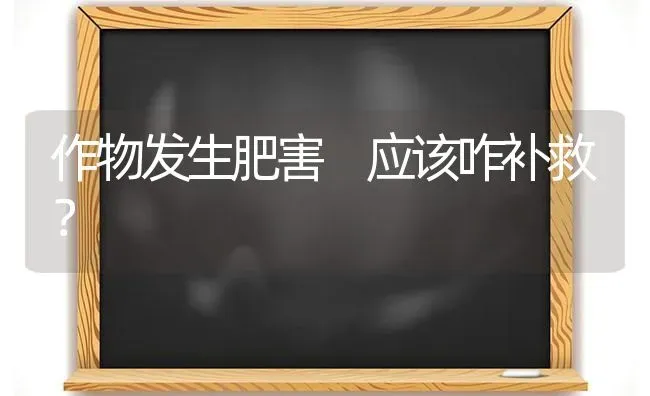 作物发生肥害 应该咋补救? | 养殖技术大全