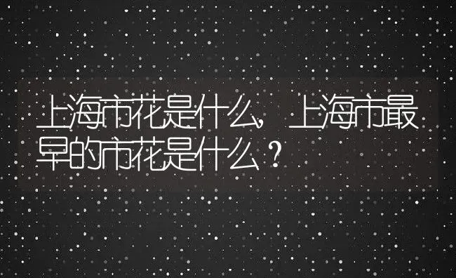 上海市花是什么,上海市最早的市花是什么？ | 养殖科普