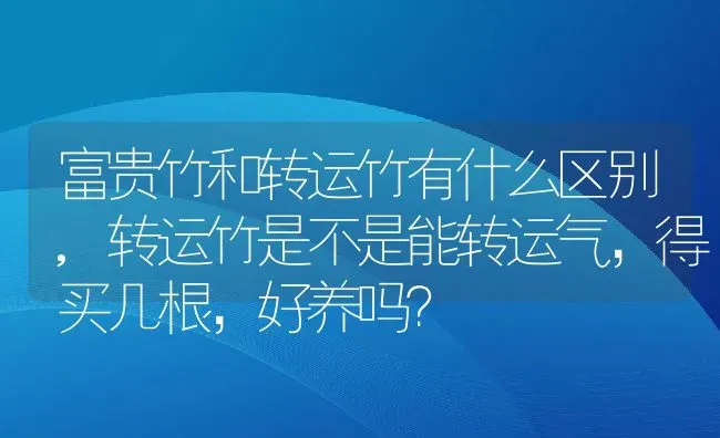 富贵竹和转运竹有什么区别,转运竹是不是能转运气，得买几根，好养吗？ | 养殖科普