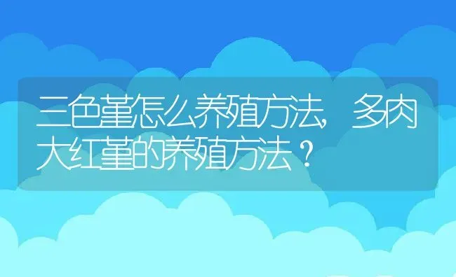 三色堇怎么养殖方法,多肉大红堇的养殖方法？ | 养殖科普