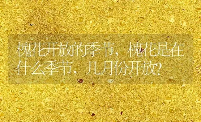槐花开放的季节,槐花是在什么季节，几月份开放？ | 养殖科普