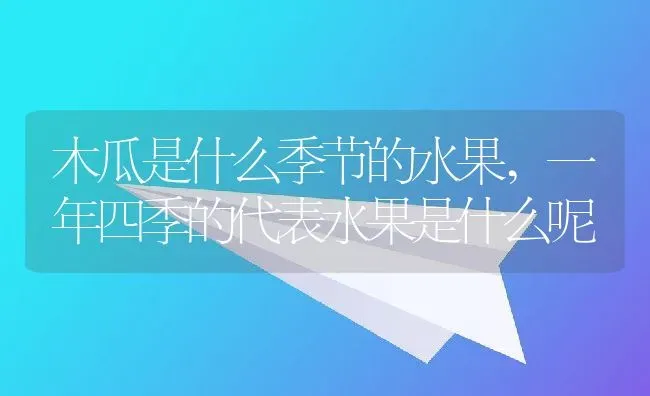 木瓜是什么季节的水果,一年四季的代表水果是什么呢 | 养殖学堂