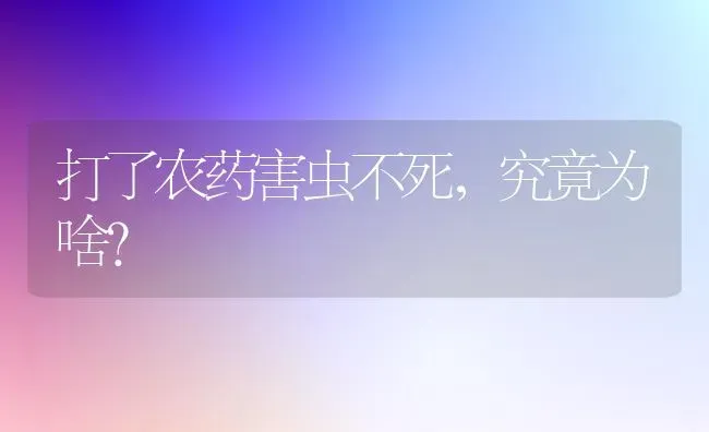 池杉的繁殖技术和管理要点 | 养殖技术大全