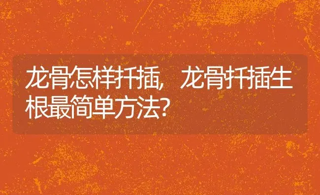 龙骨怎样扦插,龙骨扦插生根最简单方法？ | 养殖科普