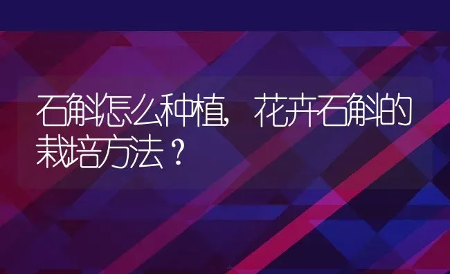 石斛怎么种植,花卉石斛的栽培方法？ | 养殖科普