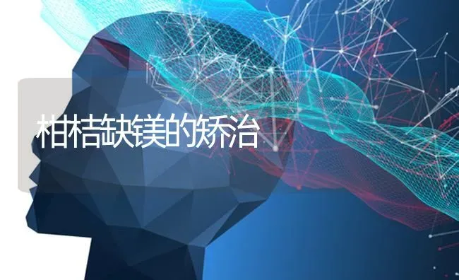 柑桔缺镁的矫治 | 养殖知识