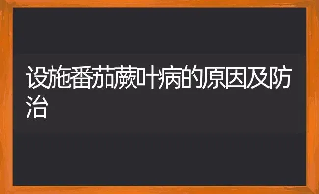 设施番茄蕨叶病的原因及防治 | 养殖技术大全