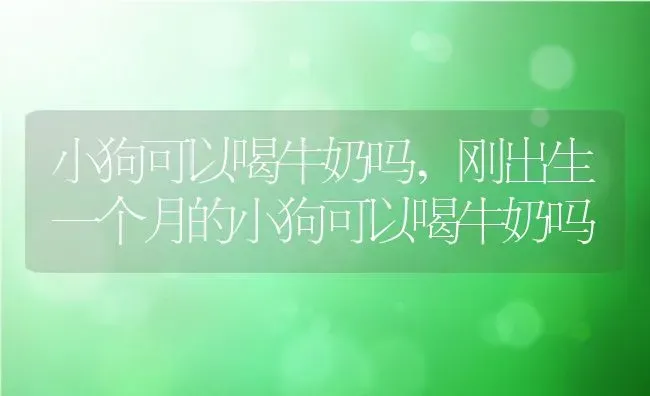 小狗可以喝牛奶吗,刚出生一个月的小狗可以喝牛奶吗 | 养殖科普