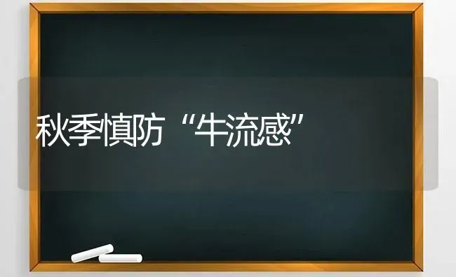 秋季慎防“牛流感” | 养殖技术大全