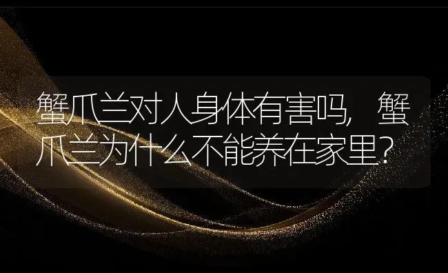 猫薄荷对猫有危害么,猫薄荷对猫有什么作用 | 养殖科普