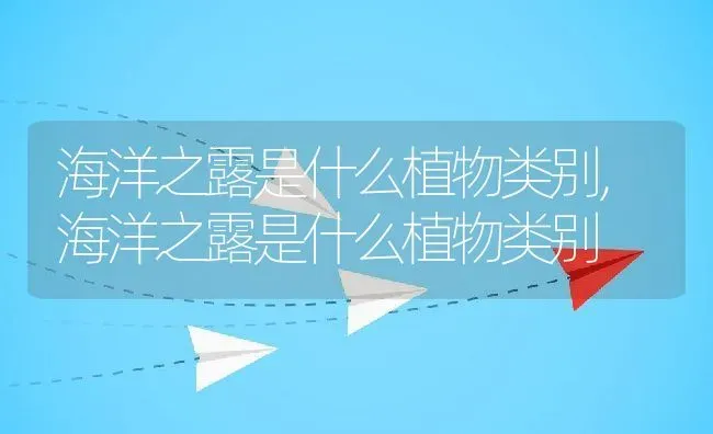 海洋之露是什么植物类别,海洋之露是什么植物类别 | 养殖科普