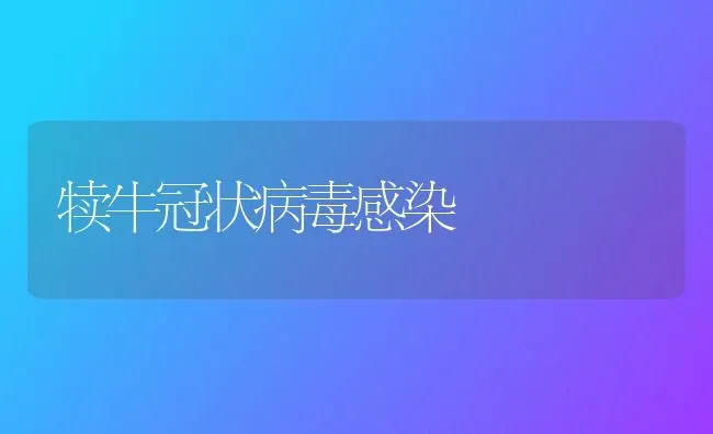 犊牛冠状病毒感染 | 养殖知识