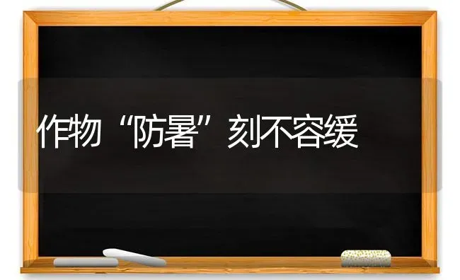 作物“防暑”刻不容缓 | 养殖技术大全