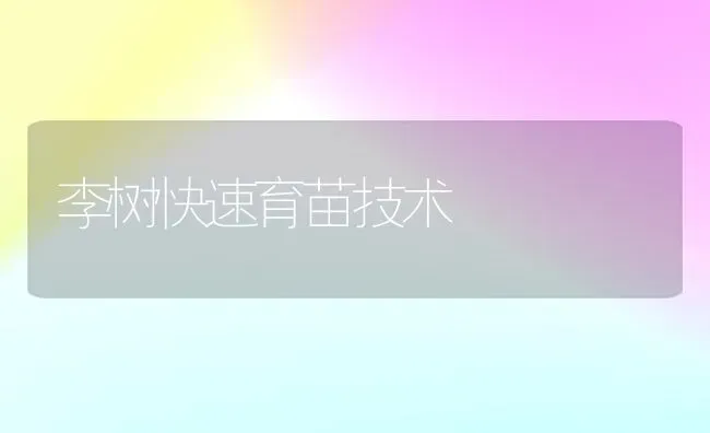 李树快速育苗技术 | 养殖技术大全