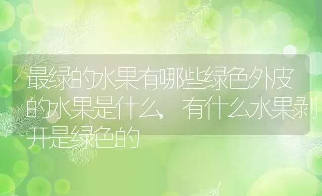 最绿的水果有哪些绿色外皮的水果是什么,有什么水果剥开是绿色的 | 养殖学堂