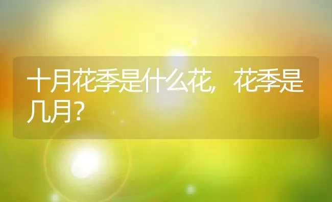 十月花季是什么花,花季是几月？ | 养殖科普