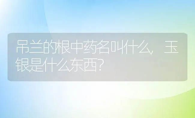 吊兰的根中药名叫什么,玉银是什么东西？ | 养殖学堂