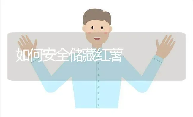 如何安全储藏红薯 | 养殖知识