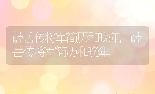 薛岳传将军简历和晚年,薛岳传将军简历和晚年 | 养殖科普