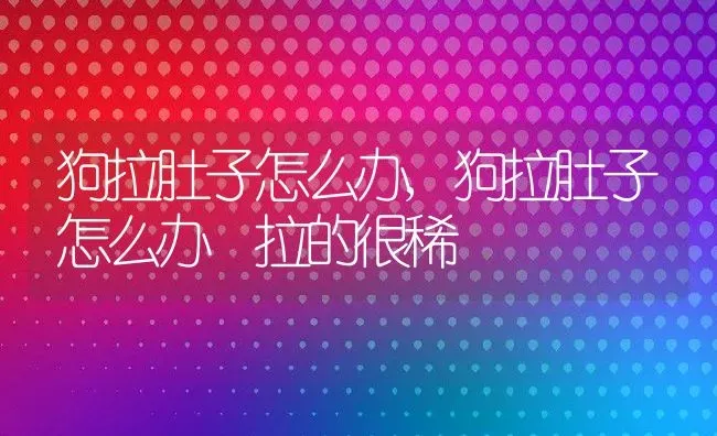 狗拉肚子怎么办,狗拉肚子怎么办 拉的很稀 | 养殖科普