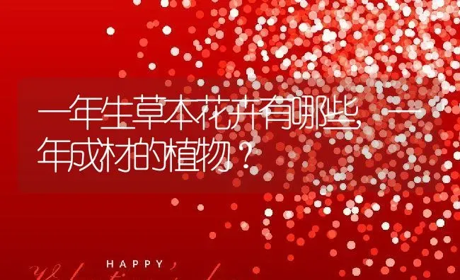 一年生草本花卉有哪些,一年成材的植物？ | 养殖科普