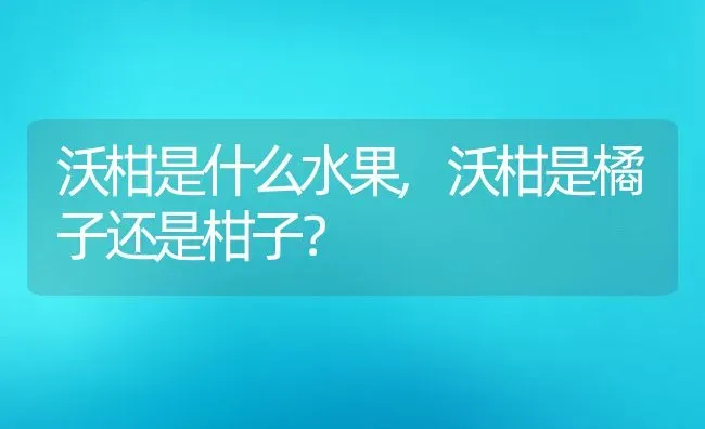 沃柑是什么水果,沃柑是橘子还是柑子？ | 养殖科普