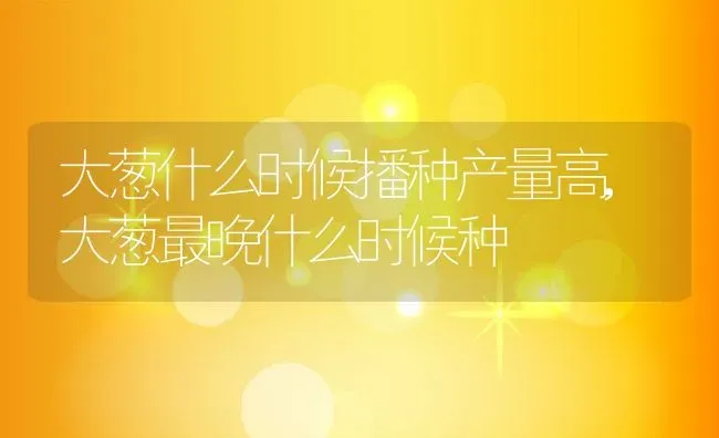 大葱什么时候播种产量高,大葱最晚什么时候种 | 养殖学堂