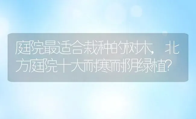 庭院最适合栽种的树木,北方庭院十大耐寒耐阴绿植？ | 养殖科普