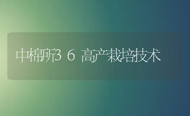 中棉所36高产栽培技术 | 养殖知识