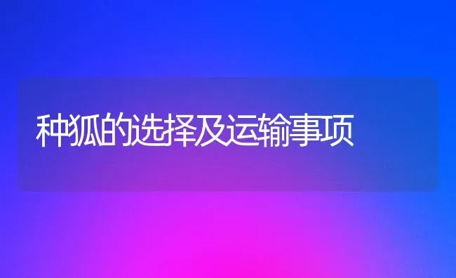 种狐的选择及运输事项 | 养殖知识