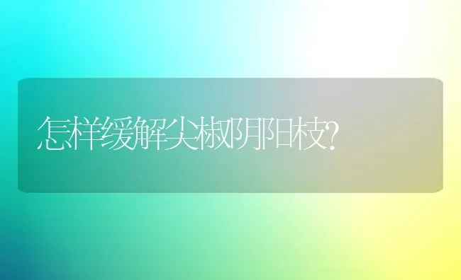 怎样缓解尖椒阴阳枝? | 养殖知识