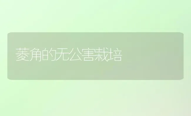 菱角的无公害栽培 | 养殖知识