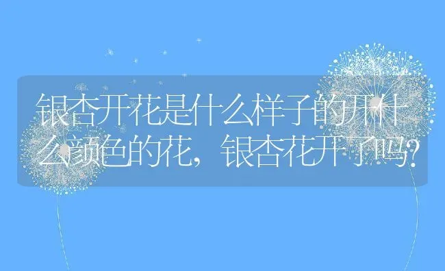 银杏开花是什么样子的开什么颜色的花,银杏花开了吗？ | 养殖科普