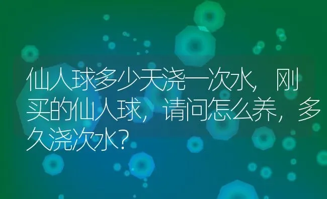 仙人球多少天浇一次水,刚买的仙人球，请问怎么养，多久浇次水？ | 养殖科普