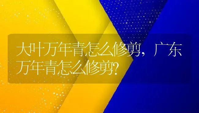 大叶万年青怎么修剪,广东万年青怎么修剪？ | 养殖科普