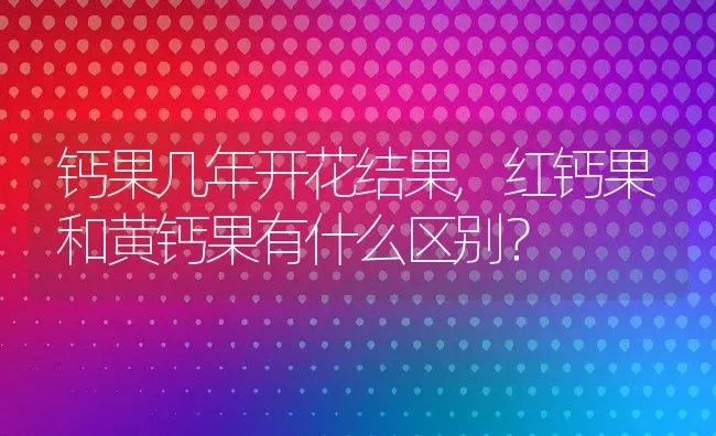 钙果几年开花结果,红钙果和黄钙果有什么区别？ | 养殖科普