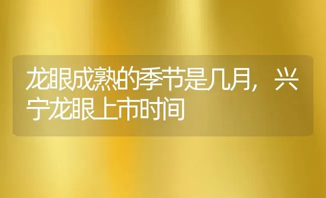 龙眼成熟的季节是几月,兴宁龙眼上市时间 | 养殖学堂