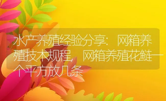 水产养殖经验分享:网箱养殖技术规程,网箱养殖花鲢一个平方放几条 | 养殖学堂