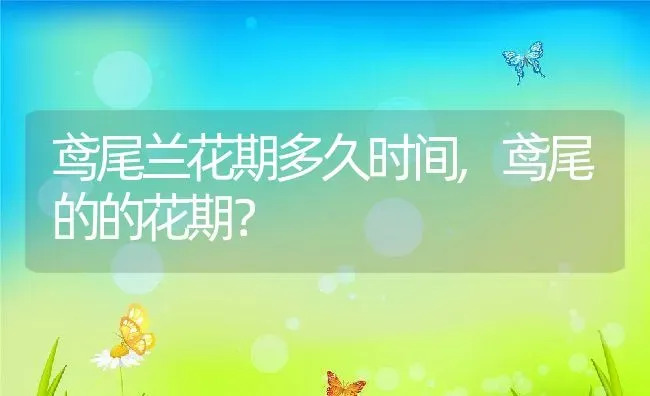 鸢尾兰花期多久时间,鸢尾的的花期？ | 养殖科普