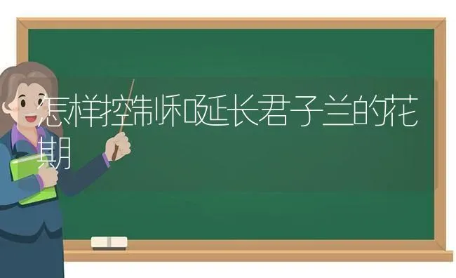 怎样控制和延长君子兰的花期 | 养殖知识