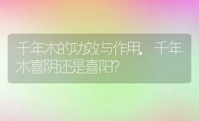 千年木的功效与作用,千年木喜阴还是喜阳？ | 养殖学堂