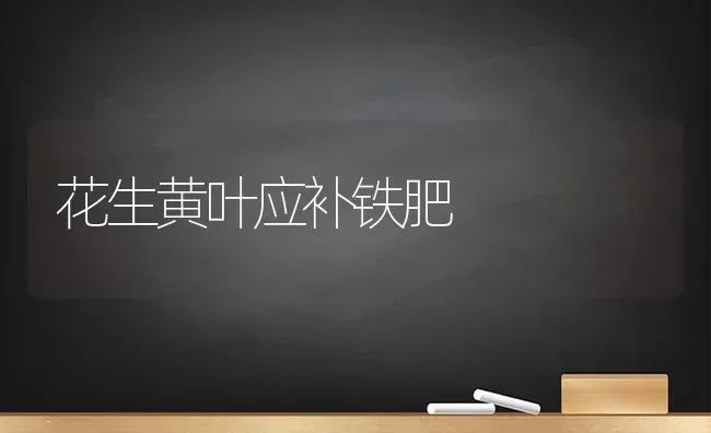 花生黄叶应补铁肥 | 养殖知识