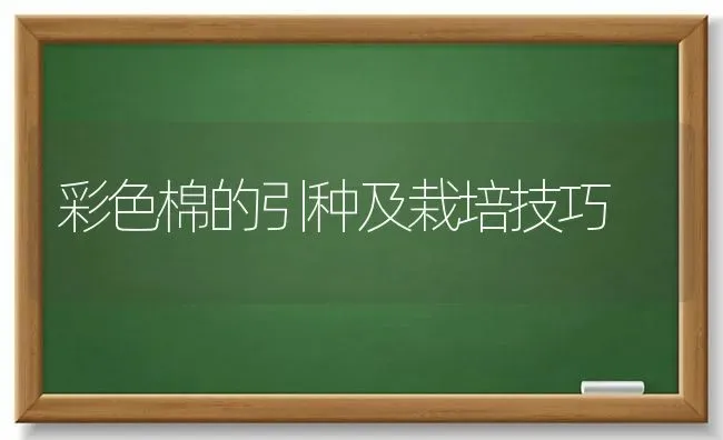 彩色棉的引种及栽培技巧 | 养殖知识