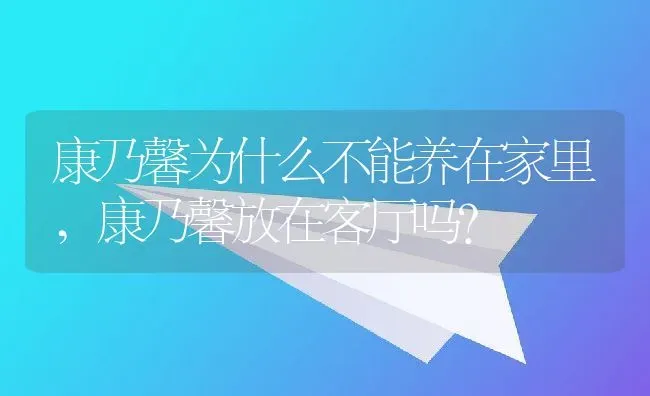 康乃馨为什么不能养在家里,康乃馨放在客厅吗？ | 养殖学堂