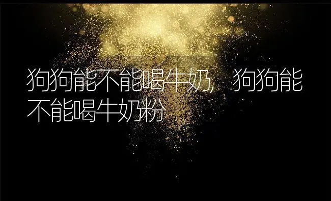 狗狗能不能喝牛奶,狗狗能不能喝牛奶粉 | 养殖科普